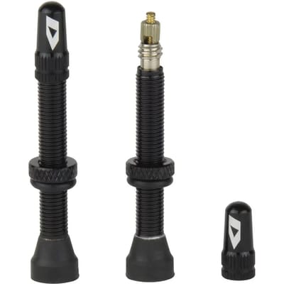 Tubeless ventiel Ikon