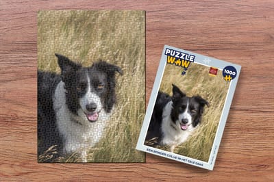 Puzzel Een border collie in het gele gras - Legpuzzel - Puzzel 1000 stukjes volwassenen
