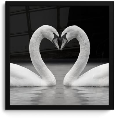Poster in lijst - Fotolijst 40x40 cm - Posters - Zwanen - Hart - Zwart - Wit - Posterlijst zwart - Decoratie - Wanddecoratie woonkamer - Muurdecoratie slaapkamer