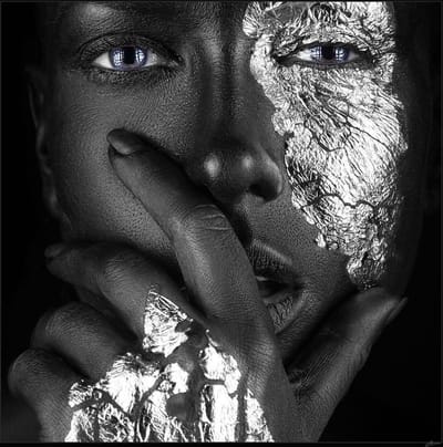Noir Silver Collection l- Kristal Helder Galerie kwaliteit Plexiglas 5mm.- Blind Aluminium Ophang-frame- Fotokunst- luxe wanddecoratie- Akoestisch en UV Werend- inclusief verzending