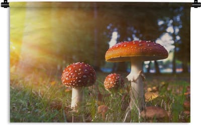 Wandkleed - Wanddoek - Twee rode paddenstoelen in het avondlicht - 180x135 cm - Wandtapijt
