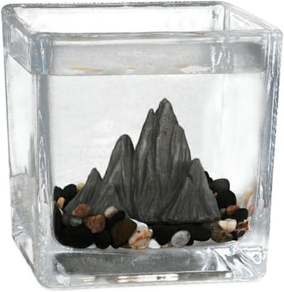 Glazen Aquarium Kom - Mini Aquarium - Kleine Vissen Houden - Helder Glasontwerp - Klein Formaat - Transparant
