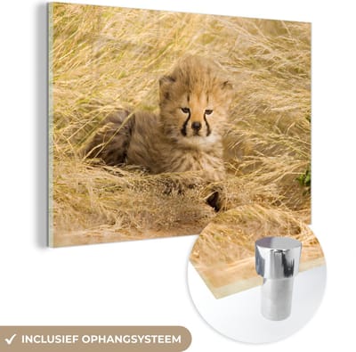 MuchoWow® Glasschilderij 60x40 cm - Schilderij acrylglas - Cheeta - Jong - Gras - Foto op glas - Schilderijen