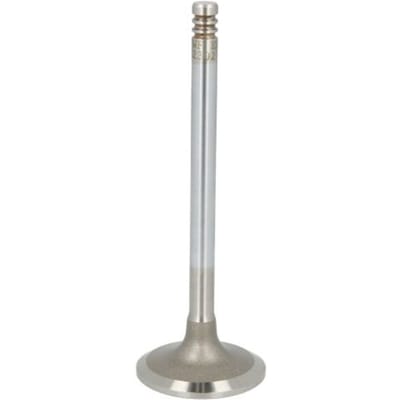 Inlaatklep KOLBENSCHMIDT 22302