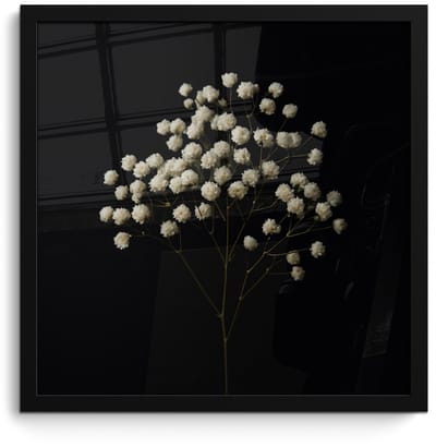 Poster in lijst - Fotolijst 40x40 cm - Posters - Gipskruid - Bloemetjes - Wit - Minimalistisch - Posterlijst zwart - Decoratie - Wanddecoratie woonkamer - Muurdecoratie slaapkamer