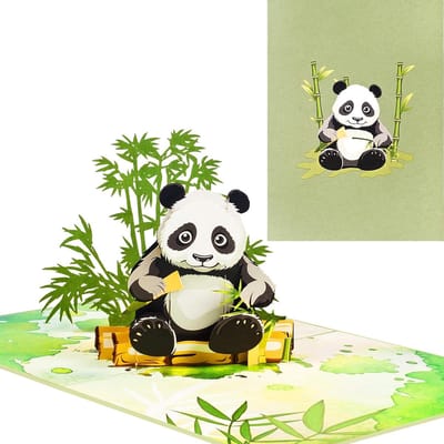 Verjaardagskaart Pop-up - Panda kaart - Feestelijke Groeten - Handgemonteerd Detail - 198 x 148 cm - Groen Bruin Zwart