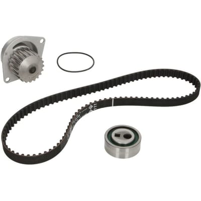 Schaeffler Ina Waterpomp+distributieriem set INA 530 0252 30