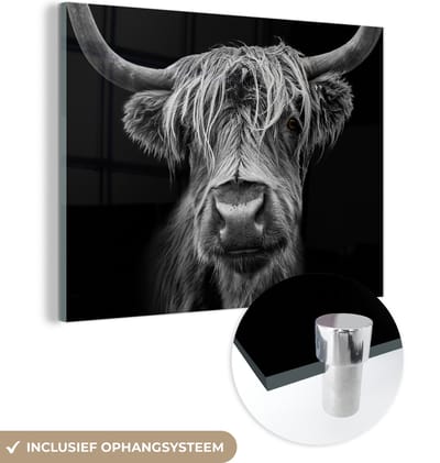 Glasschilderij Schotse hooglander - Koe - Zwart wit - Hoorns - Portret - Slaapkamer decoratie - Wanddecoratie glas - 160x120 cm - Foto op glas - Woonkamer - Glasplaat
