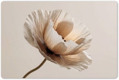 Placemats 45x30 cm - Placemat kunststof - 1 stuk - Bloem - Beige - Crème - Borden onderleggers - Decoratie voor op tafel - Keuken tafeldecoratie accessoires - Vinyl onderlegger - Tafelversiering