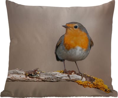 Tuinkussen - Roodborstje - Vogel - Tak - Dieren - 40x40 cm - Weerbestendig