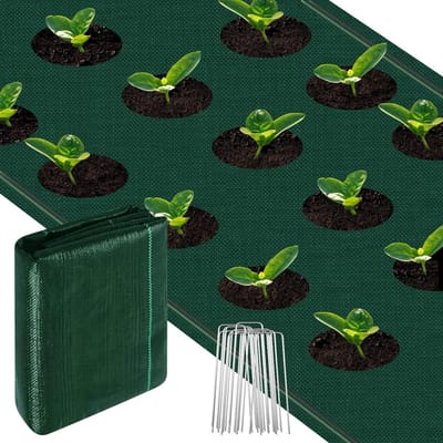 Extra sterke onkruiddoek 100 g/m², 1 x 5 m onkruidfolie met 10 grondankers, scheurvast en waterdoorlatend voor de tuin, onkruidbescherming en plantfolie