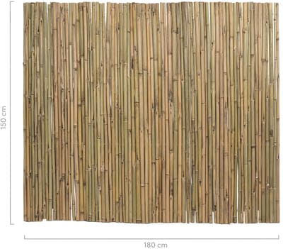 Masters of Bamboo® Bamboemat Basic - 180 x 150 cm - Naturel - Bamboe schutting op rol - Bamboe mat