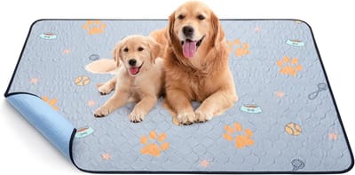 Puppyonderleggers van 168 x 125 cm voor zindelijkheidstraining en huisdiercomfort