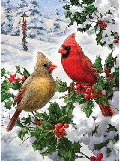 Legpuzzel 1000 stukjes - Puzzel volwassenen - Ontspanning thuis - Gerecycled karton - 508 cm x 686 cm - Rood Groen
