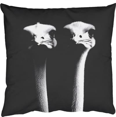 Sierkussens - Kussentjes Woonkamer - 50x50 cm - Struisvogels - Halzen - Zwart - Minimalistisch