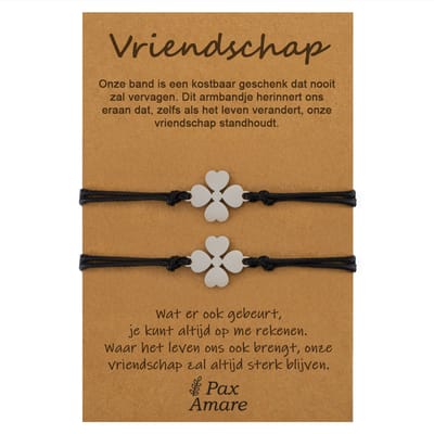 Vriendschapsarmbandjes voor 2 "Vriendschap" - Klavertje Vier - BFF Armbandjes met Cadeau Kaartje - Zilverkleurig - Elastisch Verstelbaar - Pax Amare