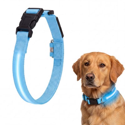 Lichtgevende Halsband Hond - LED Hondenhalsband Oplaadbaar - Regenbestendige Halsband voor Nachtwandeling - Verstelbare Lengte Puppy Halsband - Licht Halsband Extra Veilig - Hondenhalsband met Verlichting - Dog Collar Light - Blauw - Silvergear