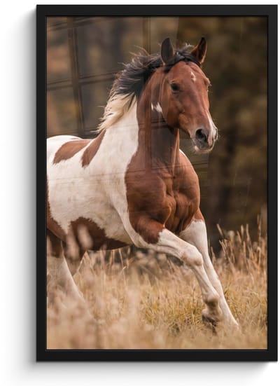 Poster in lijst - Fotolijst 40x60 cm - Posters - Paard - Bruin - Gras - Posterlijst zwart - Decoratie - Wanddecoratie woonkamer - Muurdecoratie slaapkamer