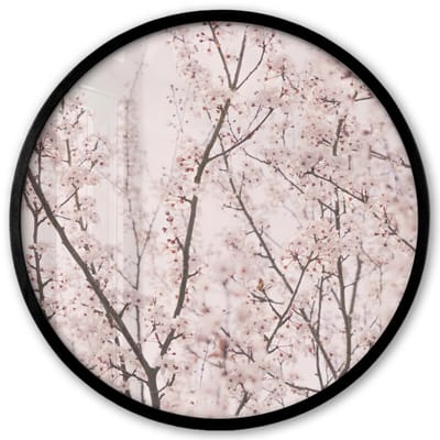 Poster in lijst Rond - Fotolijst 40x40 cm - Posters - Bloesem - Bomen - Takken - Natuur - Roze - Ronde posterlijst zwart - Decoratie - Wanddecoratie woonkamer - Muurdecoratie slaapkamer