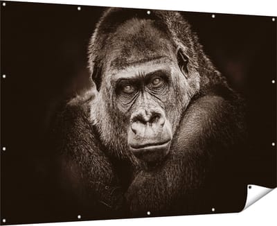 Gards Tuinposter Gorilla - Zwart Wit - 180x120 cm - Tuindoek - Tuindecoratie - Wanddecoratie buiten - Tuinschilderij