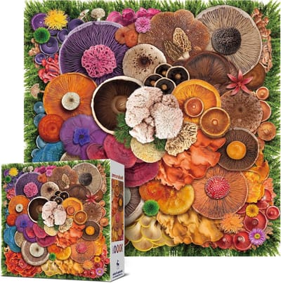 Puzzel 1000 stukjes - Legpuzzel volwassenen - Ontspanning en uitdaging - Niet-verblindende afwerking - 1000 stukjes - Paddestoel