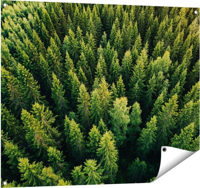 Gards Tuinposter Bos met Bomen vanaf Boven - 100x80 cm - Tuindoek - Tuindecoratie - Wanddecoratie buiten - Tuinschilderij