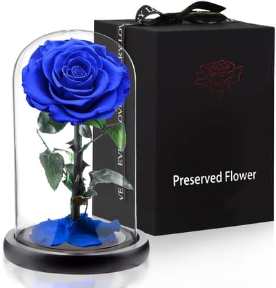 Dailygoods- Roos in Glazen Kooi - Echte Rozen - Cadeau voor Vrouwen - Verpakking 14 x 24 cm - Handgemaakt - Symboliseert Eeuwige Liefde - Eternity Rose