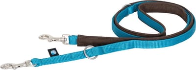 AnnyX Hondenriem -MIDDEL-BOLT-FUN- Verstelbaar - BRUIN -PETROL- lichtgewicht - 2cm breed - Lengte 175cm- kleine honden-korte wandellijn