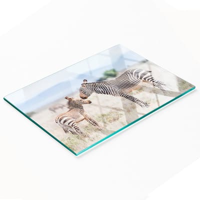 Decoratieve glazen snij- en serveerplank voor in de keuken, zebra- en bergmotief, 80x52 cm