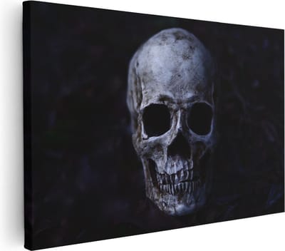 Artaza Canvas Schilderij Schedel - 30x20 cm - Klein - Wanddecoratie Dierenkop - Muurdecoratie Stilleven - Kamer Accessoires