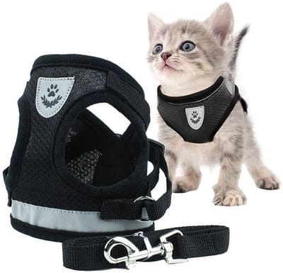 Kattenharnas met Looplijn – Verstelbaar Kattentuig met Reflecterende Strepen – Ademend Mesh – Voor Wandelen en Training – Voor Katten – Zwart – Maat M – 1 Set