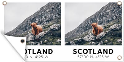 Schuttingposter Schotse hooglander - Koe - Schotland - Dieren - 200x100 cm - Tuindoek