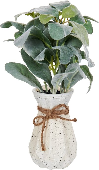PEPEROMIA ARGYREIA - Kunstplant - Groen - 30 cm - Synthetisch