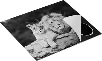 Chefcare Inductie Beschermer Leeuw en Leeuwin - Liefde Koppel - Zwart Wit - 60x50 cm - Afdekplaat Inductie - Kookplaat Beschermer - Inductie Mat