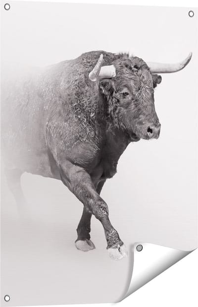 Gards Tuinposter Stier op een Grijze Achtergrond - Zwart Wit - 60x80 cm - Tuindoek - Tuindecoratie - Wanddecoratie buiten - Tuinschilderij