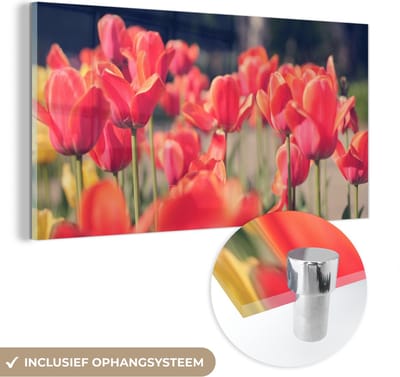 MuchoWow® Glasschilderij 40x20 cm - Schilderij acrylglas - Tulpen - Bloemen - Natuur - Foto op glas - Schilderijen