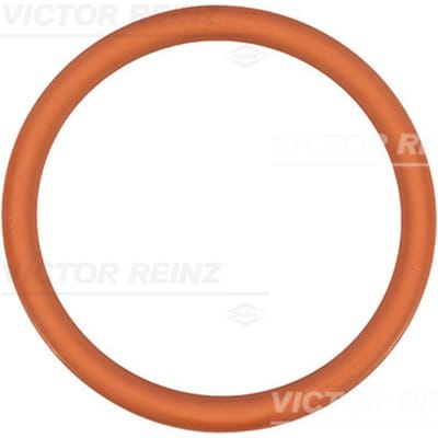 Victor Reinz Pakking, Inlaatspruitstuk REINZ 71-35247-00