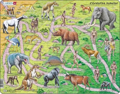 Larsen Évolution des Singes à l’Homme – Puzzle – Préhistoire – Évolution Humaine – Puzzle éducatif pour enfants – 83 pièces – Fabriqué en Norvège – Pièces extra épaisses de 2,5 mm – Plateau avec bord fixe