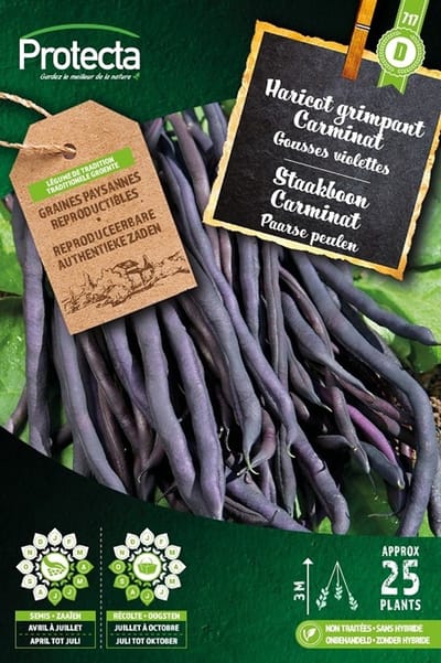 Protecta Groente zaden: Staakboon purple Carminat 25 g