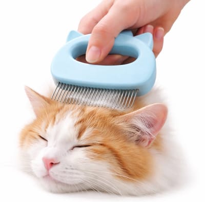 Kattenborstel I Katten Kam I Luizenborstel I Luizenkam I Elastische Tanden I Klitten Kam I Kattenhaar Ontwarren & Verwijderen I Blauw