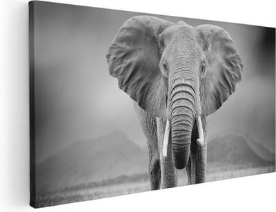 Artaza Canvas Schilderij Olifant - 40x20 cm - Klein - Wanddecoratie Dieren - Muurdecoratie Zwart Wit - Schilderijen Op Canvas Afrika
