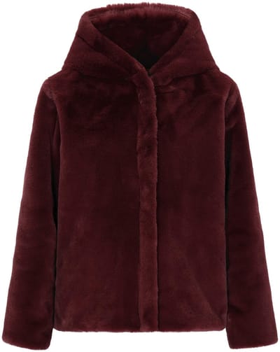 taddy Jacket