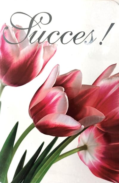 Luxe Wenskaart Succes - Art of Cards - 213598 - 11,5x17cm - Gratis Verzonden