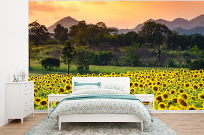Behang - Fotobehang Zonnebloem - Natuur - Berg - Breedte 350 cm x hoogte 260 cm