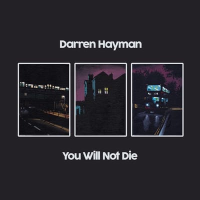 Darren Hayman - You Will Not Die (2 LP) (Limited Edition)