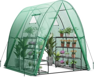 COSTWAY Foliekas, broeikas met all-weather PE-afdekking, roldeur en raam, tomatenkas, tomatenkas, plantenhuis voor tomaten en potplanten (181x181x200 cm, groen)