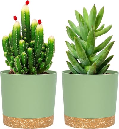 Plantenpotten set van 2 stuks 12,7 cm - groen - met drainagegaten - ideaal voor binnenplanten - SnelShoppen
