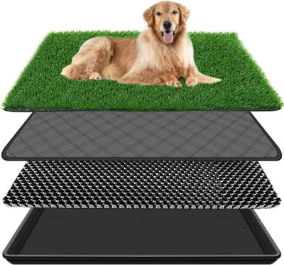 Thuys – Hondentoilet Kunstgras – Geurafstotend – Zindelijkheidstraining Hond – Dierentoilet – Puppy Pads – 60 x 90 cm