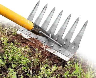 Onkruid hark - Handgereedschap tuin - Gazon onderhoud - Dubbelzijdig ontwerp - 7 tanden - Metaal