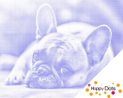 HappyDots DOT Painting Bulldog 30x40cm - Stippelschilderij Blauw